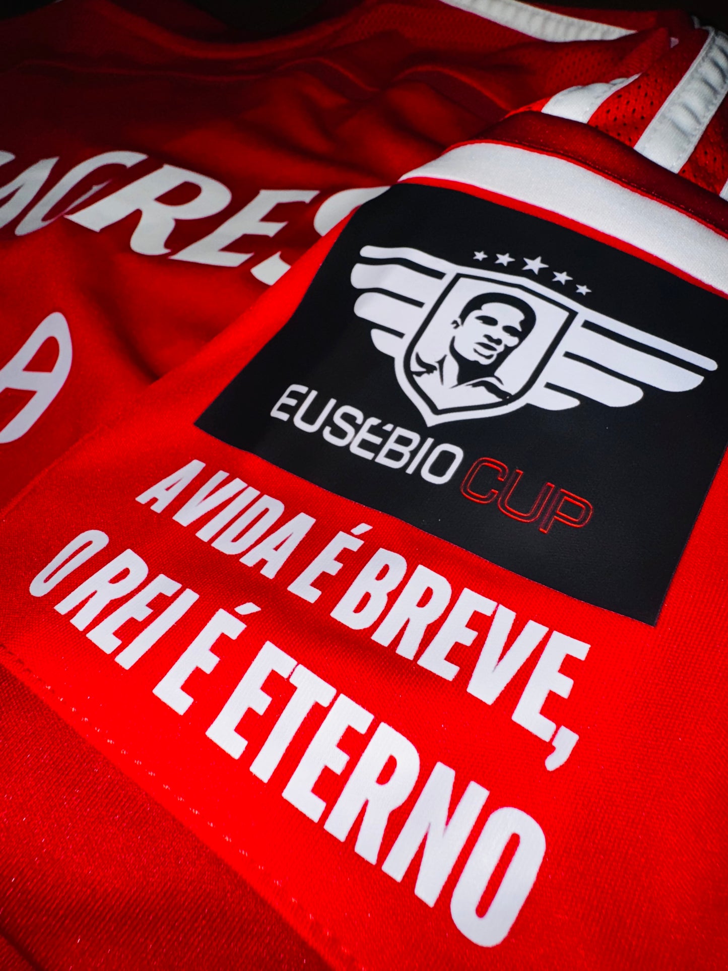 Benfica 2014/15 Home - Lima 11 - M